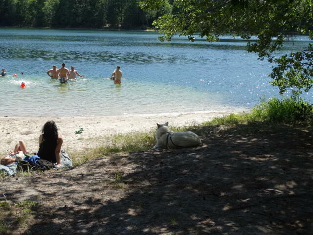 Sprzedam działkę na wsi kaszubskiej w okolicy lasów i jezior