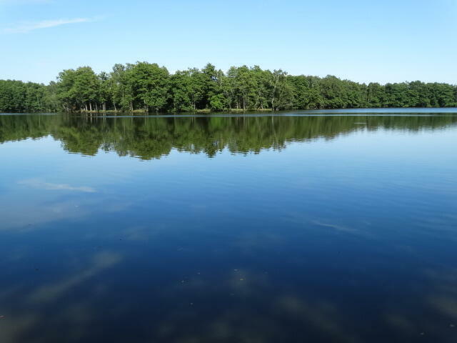 Sprzedam działkę na wsi kaszubskiej w okolicy lasów i jezior