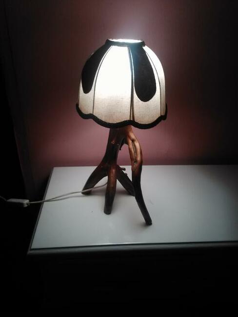 Lampka noocna z korzenia.