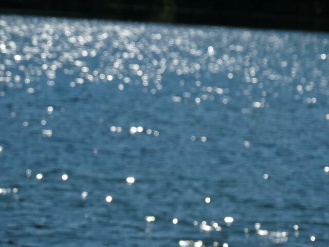 Sprzedam działkę na wsi kaszubskiej w okolicy lasów i jezior