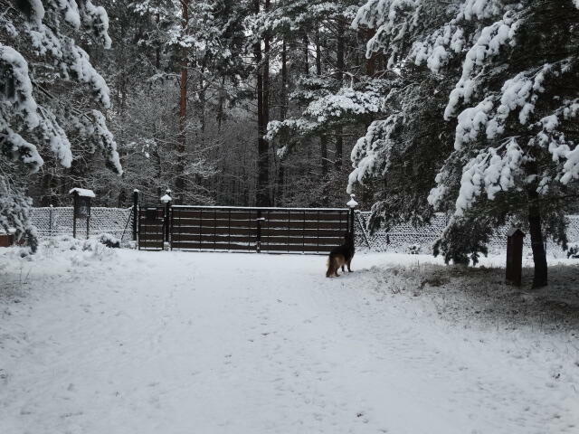 Sprzedam działkę na wsi kaszubskiej w okolicy lasów i jezior