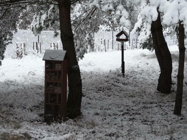 Sprzedam działkę na wsi kaszubskiej w okolicy lasów i jezior