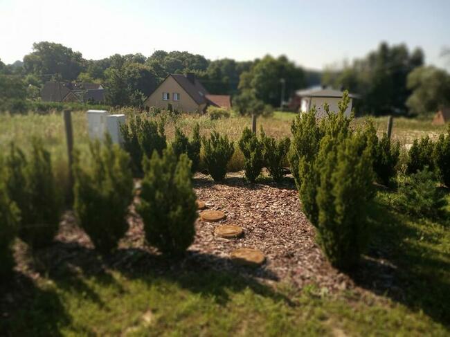 prusim, budowlana 1492 m2