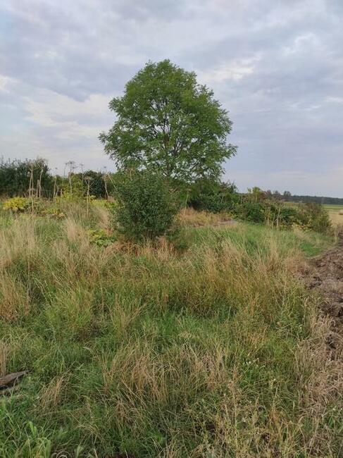 Sprzedam działkę budowlaną wraz z rolną