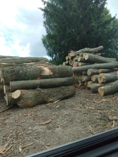 Zrzyny i inne drewno