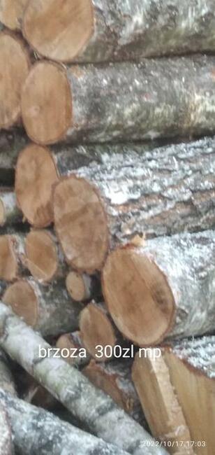 Zrzyny i inne drewno