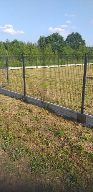 Usługj ogrodnicze Pionki