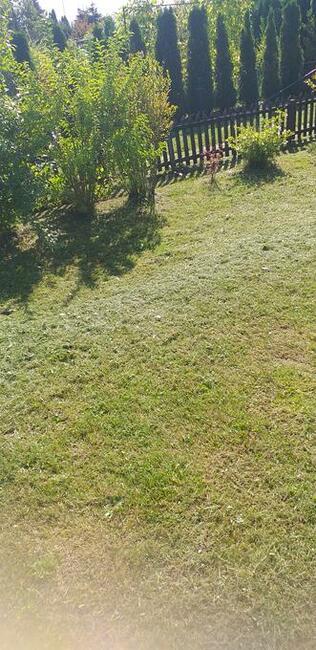 Usługj ogrodnicze Pionki