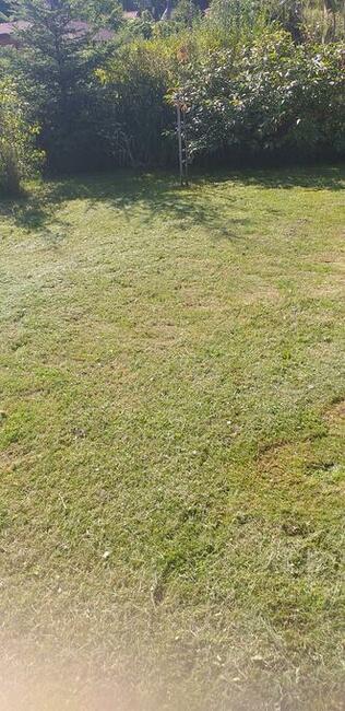 Usługj ogrodnicze Pionki