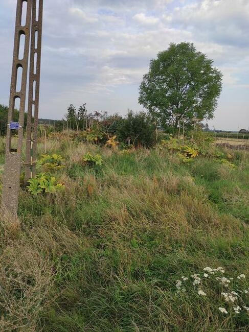 Sprzedam działkę budowlaną wraz z rolną