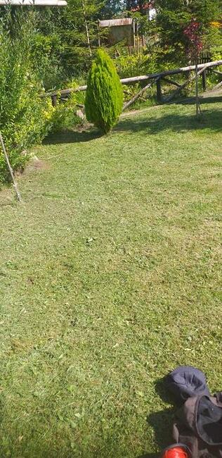 Usługj ogrodnicze Pionki