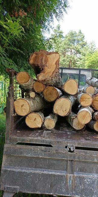 Zrzyny i inne drewno