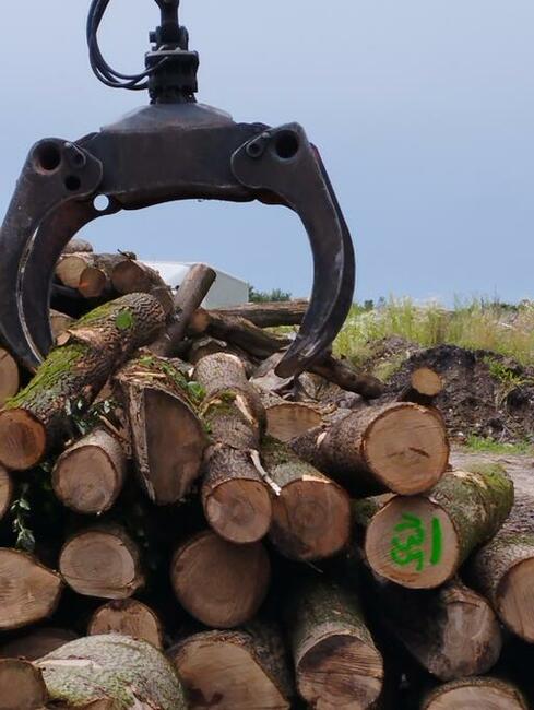 Zrzyny i inne drewno