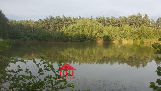 grunt ze stawem, działka