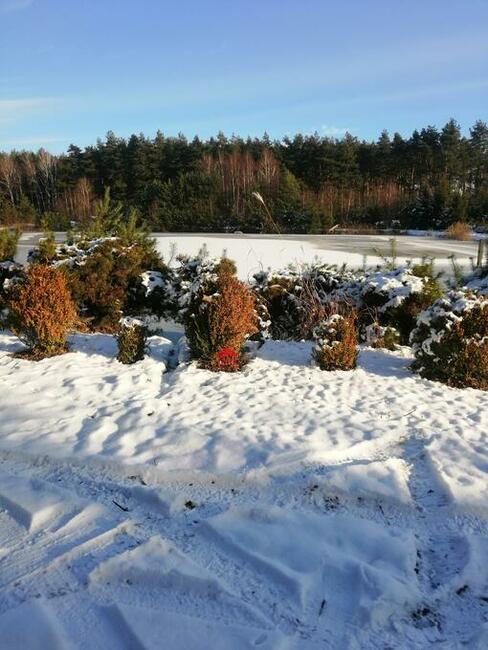 grunt ze stawem, działka