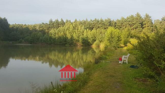 grunt ze stawem, działka