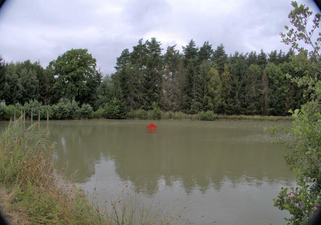 grunt ze stawem, działka