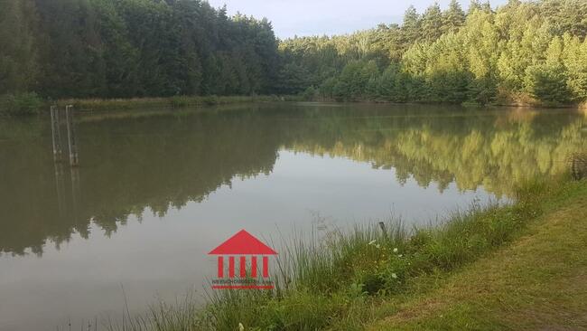 grunt ze stawem, działka