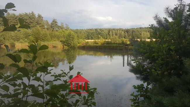 grunt ze stawem, działka