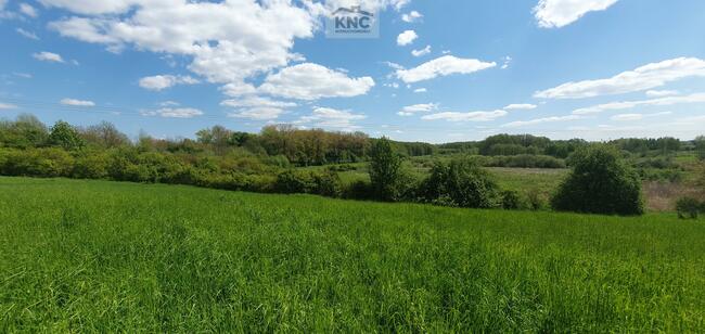 Działka budowlana Kock, Radzyńska
