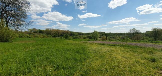 Działka budowlana Kock, Radzyńska