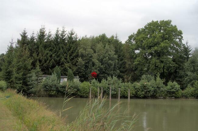 grunt ze stawem, działka