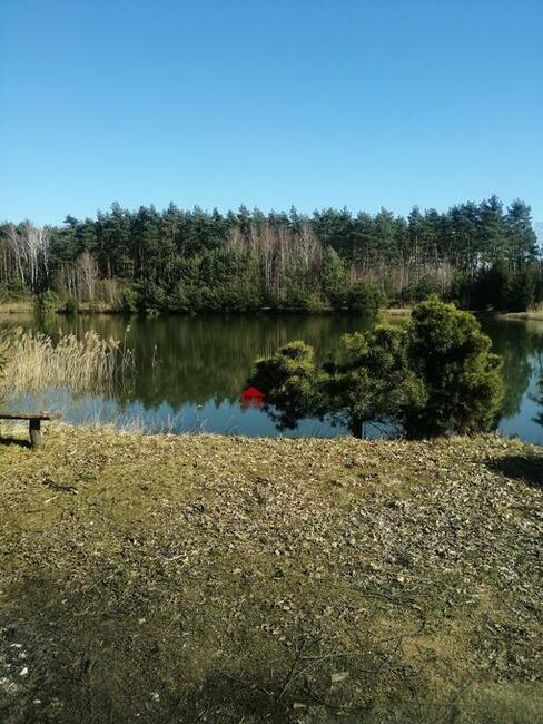 grunt ze stawem, działka