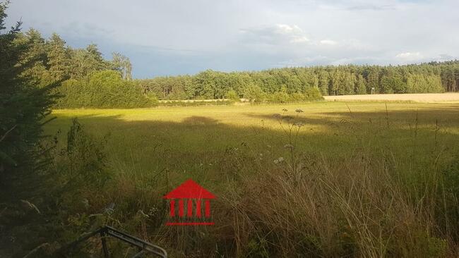 grunt ze stawem, działka