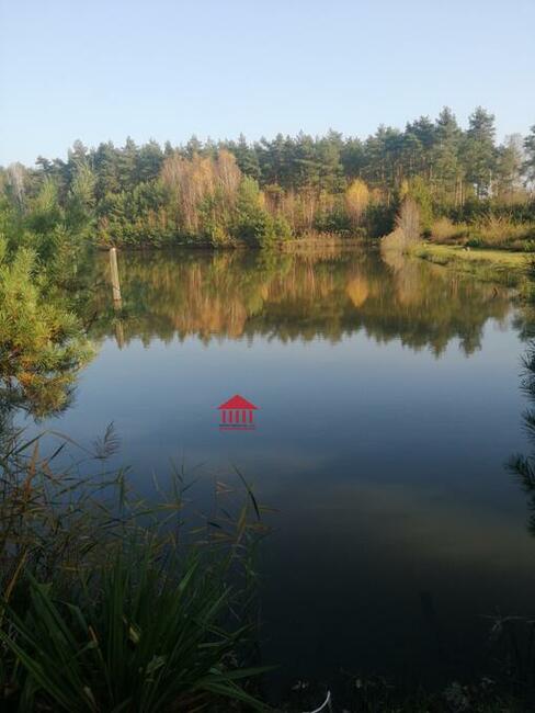 grunt ze stawem, działka