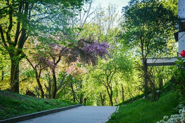 Uroczy pokój - LSM, ul. Balladyny 4