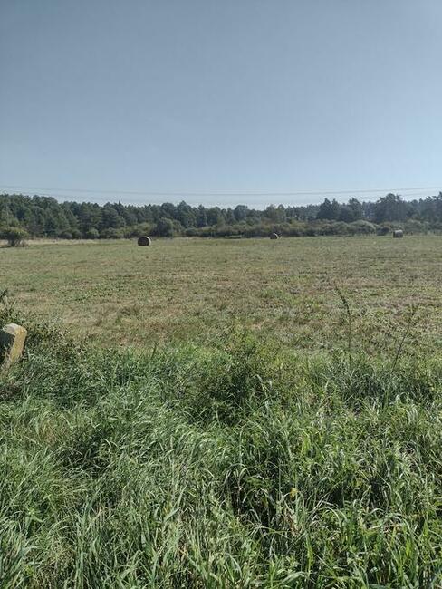 Działka, Biłgoraj, Os. Sitarska-Kępy.