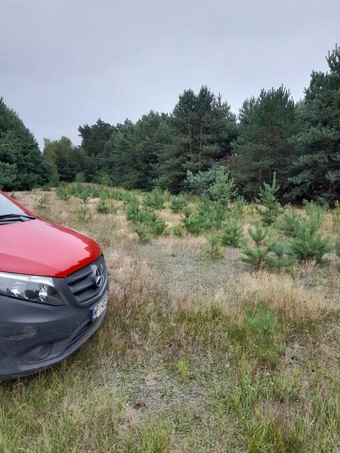 Działka 12000 m2 Podmieście