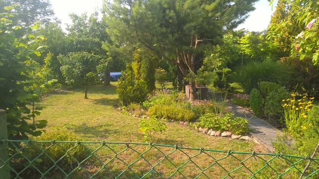 Piękna Działka ROD Opole NWK 3 ary