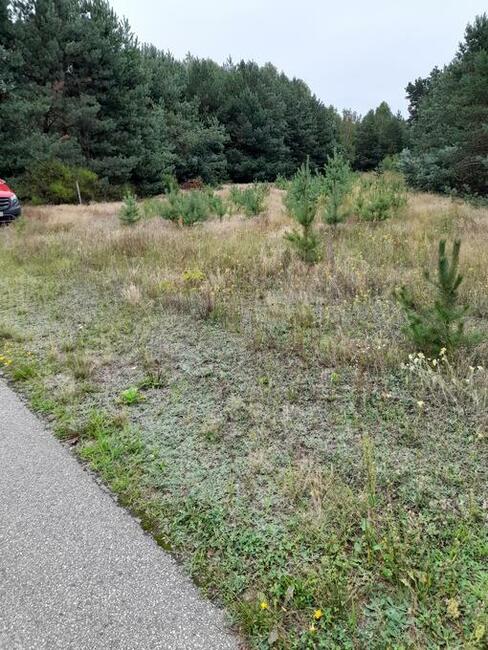 Działka 12000 m2 Podmieście