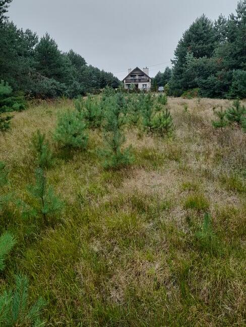 Działka 12000 m2 Podmieście