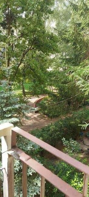 mieszkanie do wynajęcia