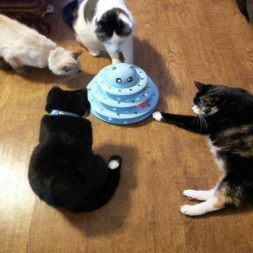 Zabawka Dla Kota Wieża z Piłeczkami Interaktywna