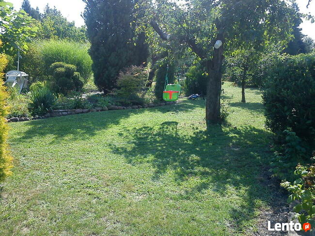 Piękna Działka ROD Opole NWK 3 ary