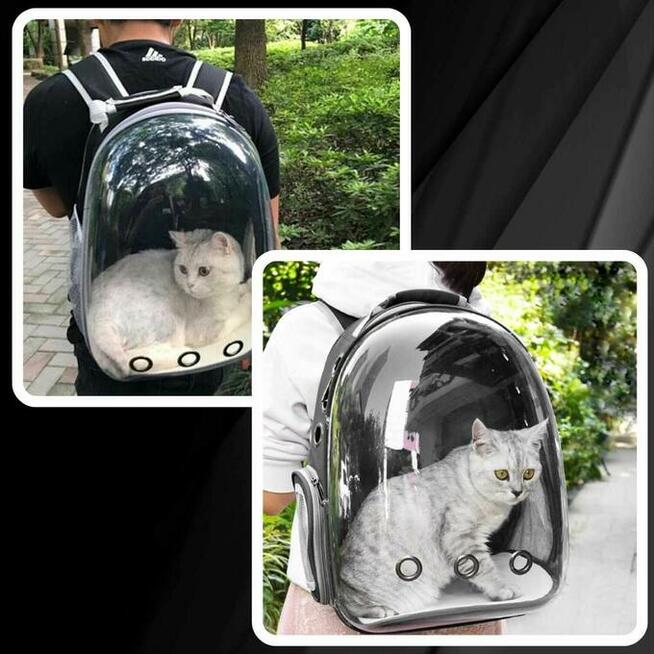 PLECAK Dla Kota Psa Transporter Torba Przezroczysty