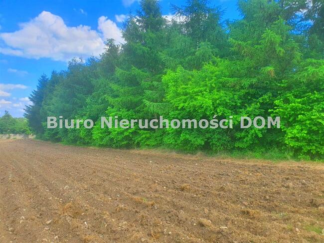 Działka budowlana Janów