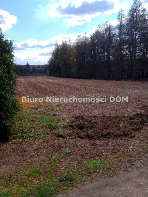 Działka budowlana Janów