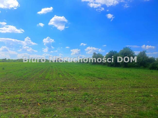 Działka budowlana Janów