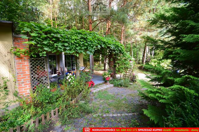 Dom Kawka gm. Niemce