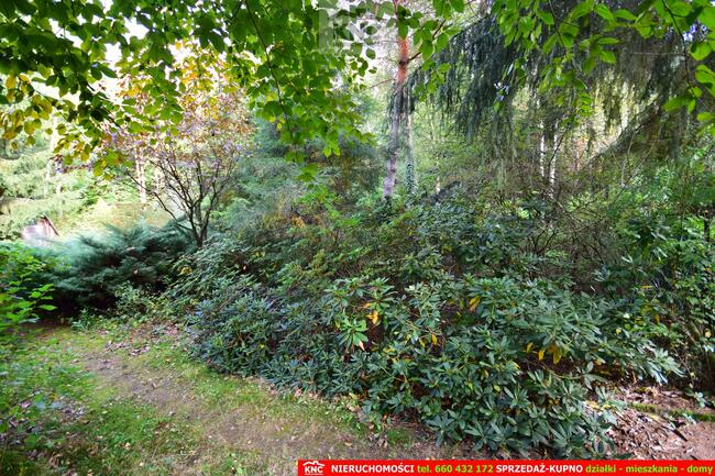 Dom Kawka gm. Niemce