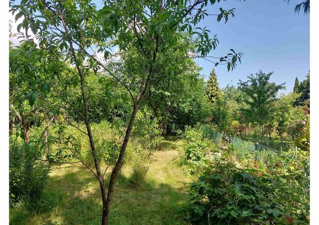 Działka Pracownicza ROD Malborska 430 m2