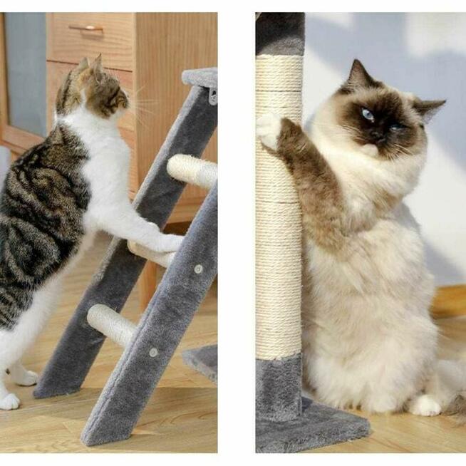 Drzewko Wieża Dla Kota Drapak Domek Myszki