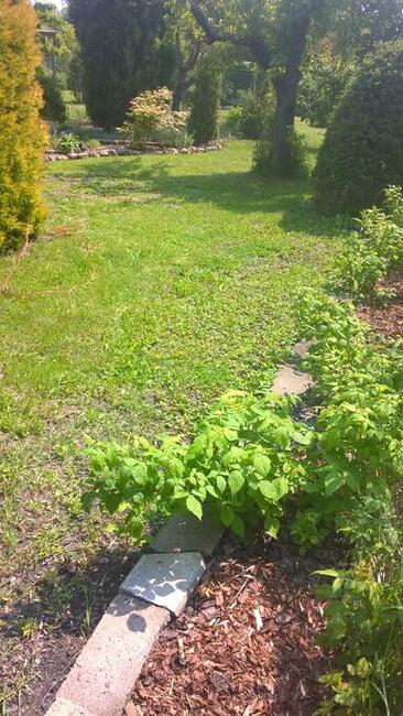 Piękna Działka ROD Opole NWK 3 ary