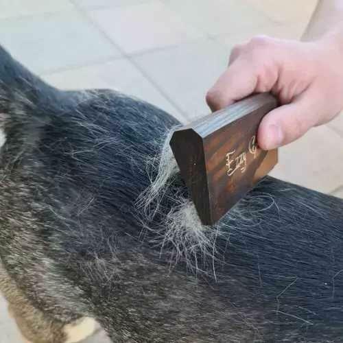 Szczotka Dla Psa Kota Do Sierści Szorstka