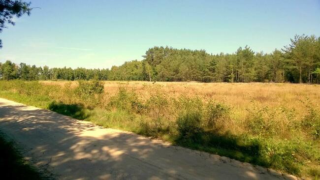 Działki pod zabudowę jednorodzinną, Kwilno gmina Zgierz
