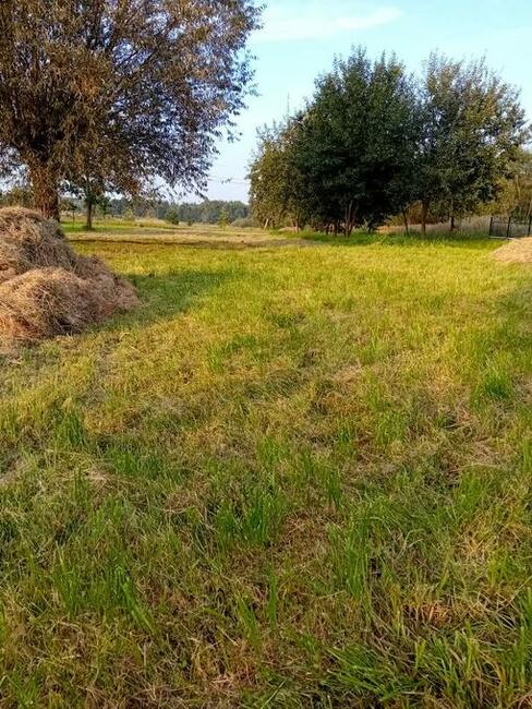 Działka rolno-budowlana. Pilna sprzedaż